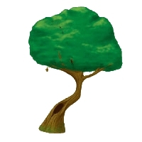 Rillifane Rallathil.jpg